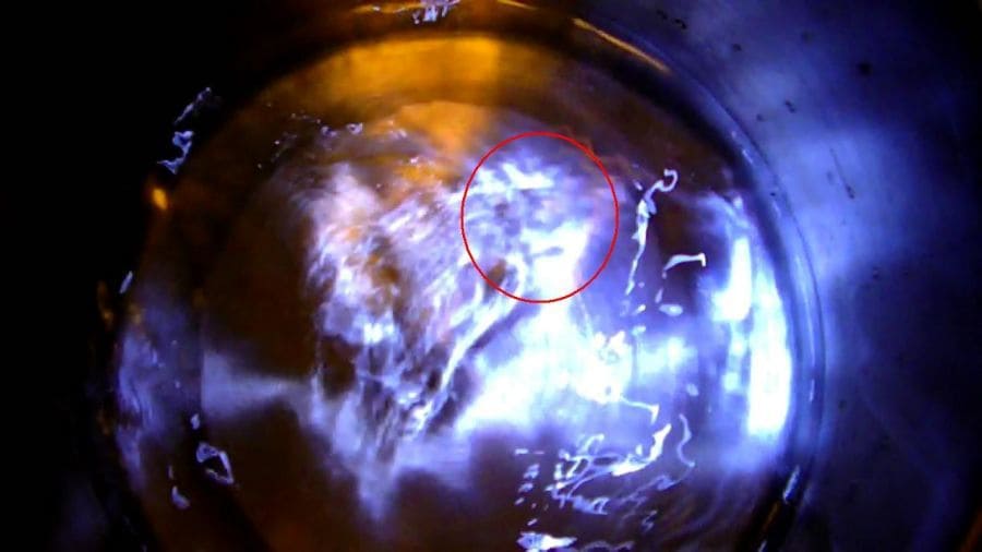 Clear water with LED flashlight. Image highlighted within red circle.